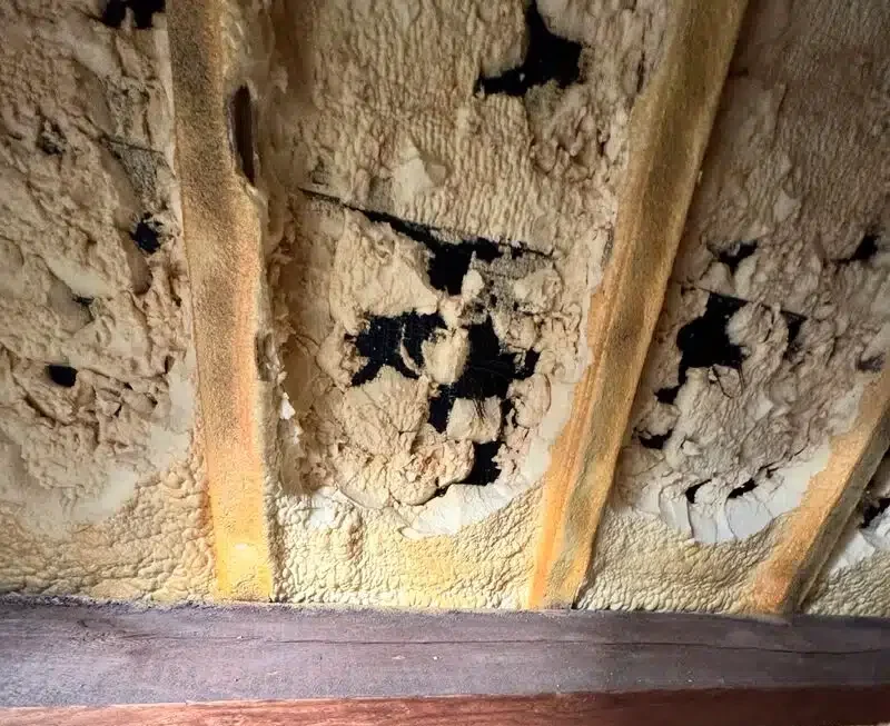 What Are the Warning Signs That Your Insulation Needs an Upgrade?